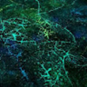 Meet your Posher, Joy